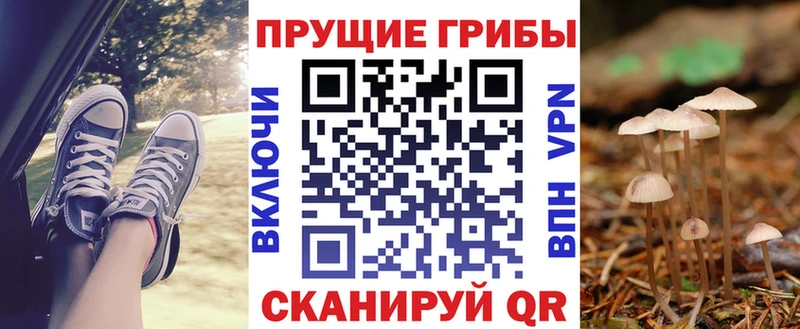 Галлюциногенные грибы MAGIC MUSHROOMS  даркнет сайт  Щёлкино 