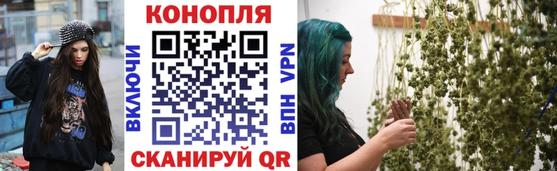 МАРИХУАНА конопля Щёлкино